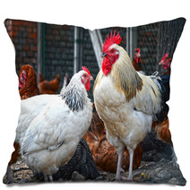 Chickens On Traditional Free Range Poultry Farm Pillows 87366934