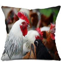 Chickens On Traditional Free Range Poultry Farm Pillows 87367404