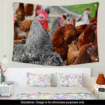 Chickens On Traditional Free Range Poultry Farm Wall Art 87367382