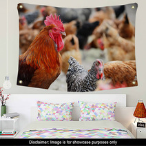 Chickens On Traditional Free Range Poultry Farm Wall Art 87367482