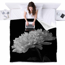 Chrysanthemum On The Side In Black And White Blankets 56730221