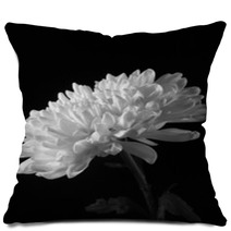 Chrysanthemum On The Side In Black And White Pillows 56730221