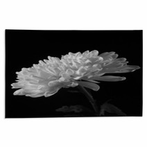 Chrysanthemum On The Side In Black And White Rugs 56730221