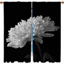 Chrysanthemum On The Side In Black And White Window Curtains 56730221