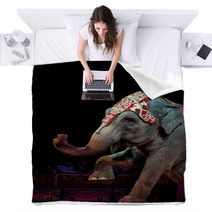 Circus Elephant Blankets 57303765