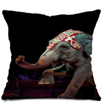 Circus Elephant Pillows 57303765