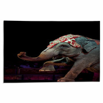 Circus Elephant Rugs 57303765
