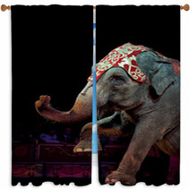 Circus Elephant Window Curtains 57303765