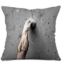 Climber Pillows 67463751