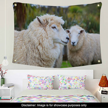 Close Up Face Of New Zealand Merino Sheep In Rural Livestock Far Wall Art 94055900