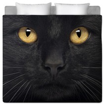 Close-up Of A Black Cat Bedding 50882591