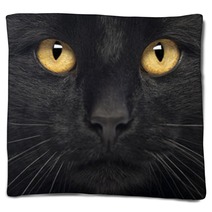 Close-up Of A Black Cat Blankets 50882591