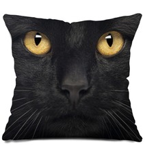 Close-up Of A Black Cat Pillows 50882591