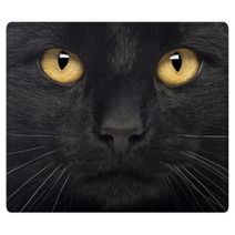 Close-up Of A Black Cat Rugs 50882591