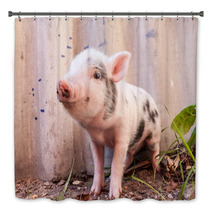 Close-up Of A Cute Muddy Piglet Running Around Outdoors On The F Bath Decor 63509898