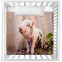 Close-up Of A Cute Muddy Piglet Running Around Outdoors On The F Nursery Decor 63509898