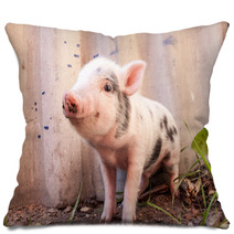 Close-up Of A Cute Muddy Piglet Running Around Outdoors On The F Pillows 63509898