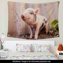 Close-up Of A Cute Muddy Piglet Running Around Outdoors On The F Wall Art 63509898
