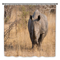 Close-up Of A White Rhino In The Bush With A Tough Wrinkled Skin Bath Decor 65523705