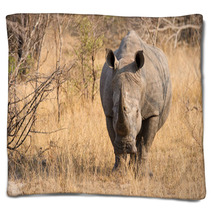 Close-up Of A White Rhino In The Bush With A Tough Wrinkled Skin Blankets 65523705