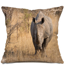 Close-up Of A White Rhino In The Bush With A Tough Wrinkled Skin Pillows 65523705