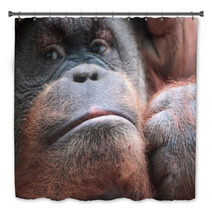 Close-up Of Bornean Orangutan Bath Decor 67225025