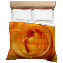 Close Up Of Orange Rose Flower Bedding 67096348
