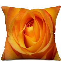 Close Up Of Orange Rose Flower Pillows 67096348