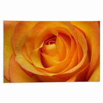 Close Up Of Orange Rose Flower Rugs 67096348