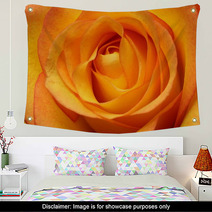 Close Up Of Orange Rose Flower Wall Art 67096348