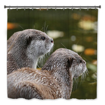 Close Up Of Oriental Short-Clawed Otters Bath Decor 94863459