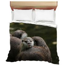 Close Up Of Oriental Short-Clawed Otters Bedding 94863214
