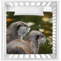 Close Up Of Oriental Short-Clawed Otters Nursery Decor 94863459