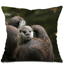 Close Up Of Oriental Short-Clawed Otters Pillows 94863214