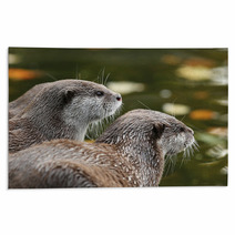 Close Up Of Oriental Short-Clawed Otters Rugs 94863459