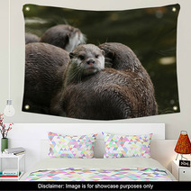 Close Up Of Oriental Short-Clawed Otters Wall Art 94863214