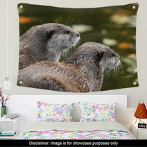 Close Up Of Oriental Short-Clawed Otters Wall Art 94863459