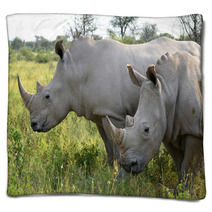 Close Up Of Rhino In Khama Reserve,Botswana Blankets 51310112