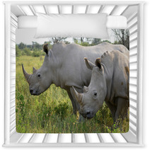 Close Up Of Rhino In Khama Reserve,Botswana Nursery Decor 51310112