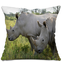 Close Up Of Rhino In Khama Reserve,Botswana Pillows 51310112