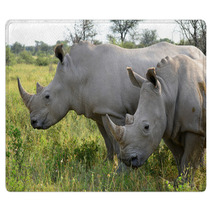 Close Up Of Rhino In Khama Reserve,Botswana Rugs 51310112
