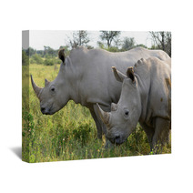 Close Up Of Rhino In Khama Reserve,Botswana Wall Art 51310112