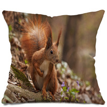 Close Up Of Squirrel In Forest Pillows 90773209