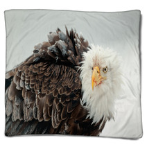 Close Up Portrait Of A Bald Eagle Blankets 59913424