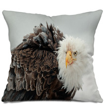 Close Up Portrait Of A Bald Eagle Pillows 59913424