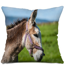 Close-up Portrait Of Grey Fluffy Donkey Pillows 91409466