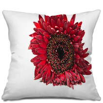 Close Up Red Gerbera Flower On A White Background Pillows 60596128