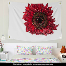 Close Up Red Gerbera Flower On A White Background Wall Art 60596128