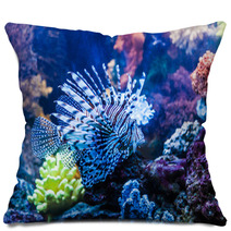 Close Up View Of A Venomous Red Lionfish Pillows 61333987