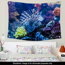 Close Up View Of A Venomous Red Lionfish Wall Art 61333987